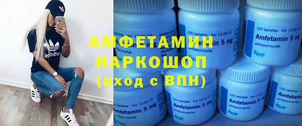 СК Ельня