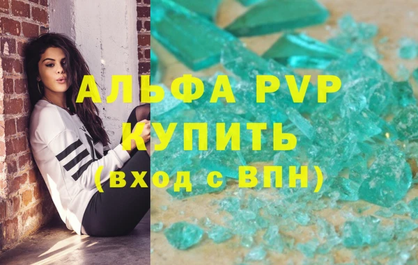 СК Ельня