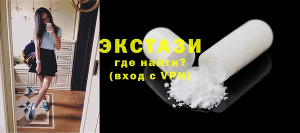 СК Ельня