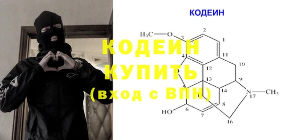 СК Ельня