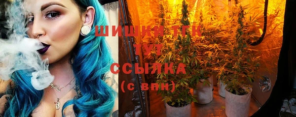 СК Елабуга
