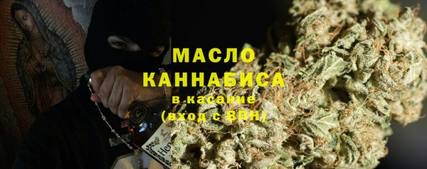 СК Ельня