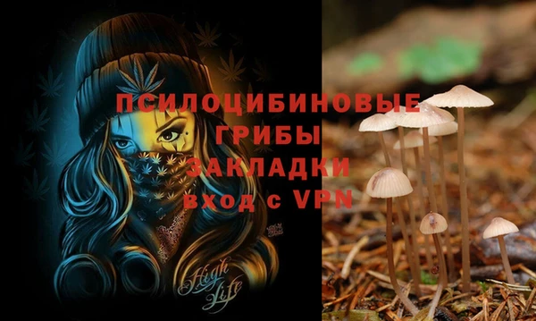 СК Ельня