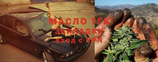 СК Ельня