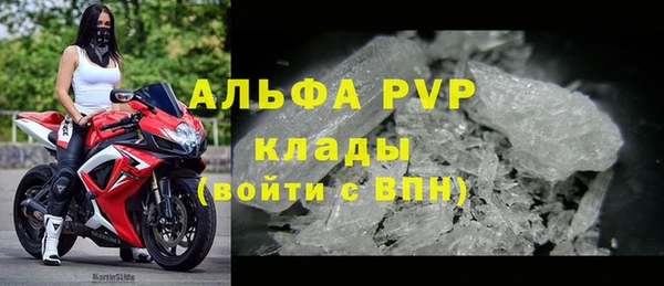 СК Елабуга