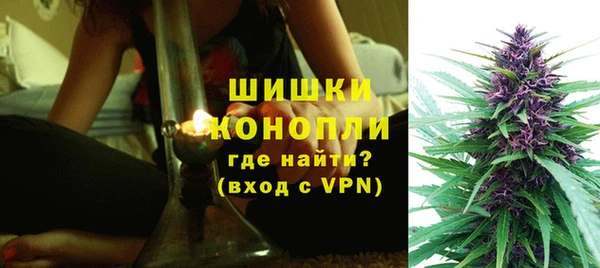 СК Ельня